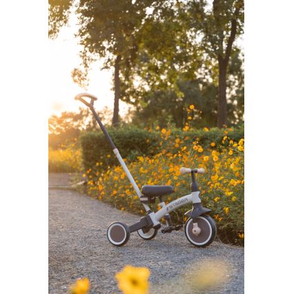 QPlay - Triciclo infantil 3 en 1 STAGER beige