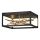 Quintiesse - Lámpara de techo LED STYX LED/8W/230V negro/dorado
