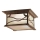 Quintiesse - Lámpara de techo para exterior MORRIS 2xE27/60W/230V IP44, acabado en bronce