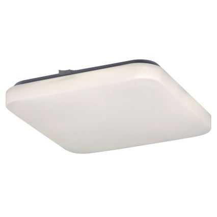 Rabalux - Plafón LED 20W/230V, 28x28 cm