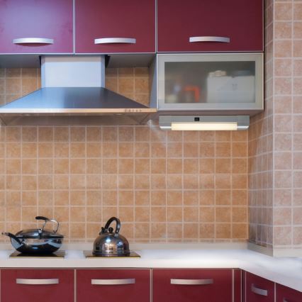 Rabalux - Iluminación para encimeras de cocina BAND LIGHT 1xG13/10W/230V 39,5 cm plata