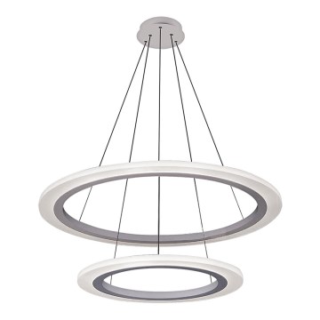 Rabalux 2429 - Lámpara colgante LED ADRIENNE LED/62W/230V plateado