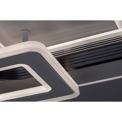 Rabalux - Plafón de techo LED regulable 48W/230V 3000K/4000K/6000K + mando a distancia 49,5x49,5 cm