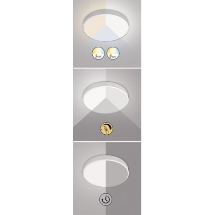 Rabalux - Luminaria de techo LED regulable LED/60W/230V, diámetro 60 cm + mando a distancia