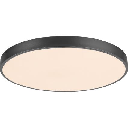 Rabalux - Luminaria de techo LED regulable LED/60W/230V, diámetro 60 cm + mando a distancia