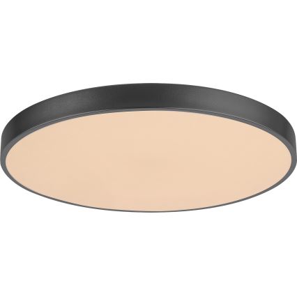 Rabalux - Luminaria de techo LED regulable LED/60W/230V, diámetro 60 cm + mando a distancia