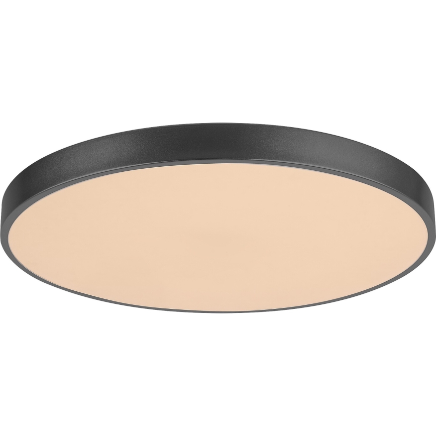 Rabalux - Luminaria de techo LED regulable LED/60W/230V, diámetro 60 cm + mando a distancia