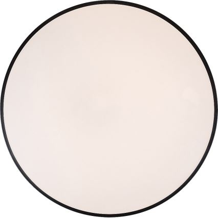 Rabalux - Luminaria de techo LED regulable LED/60W/230V, diámetro 60 cm + mando a distancia