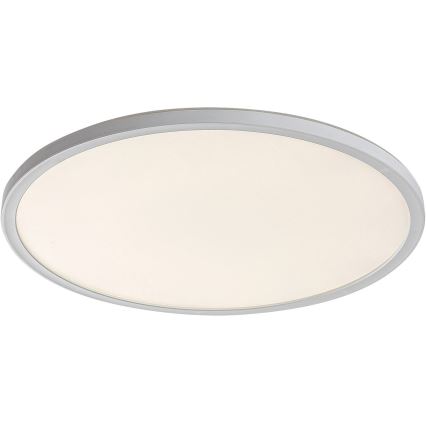Rabalux - Lámpara de techo LED regulable LED/22W/230V Ø 42 cm