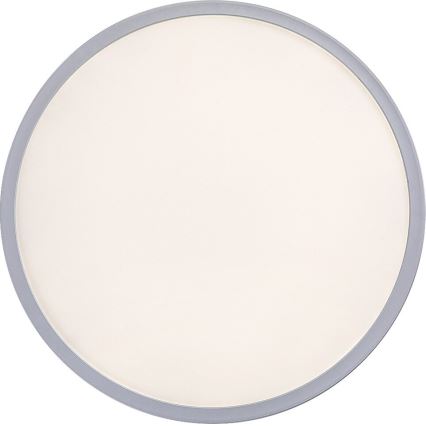 Rabalux - Lámpara de techo LED regulable LED/22W/230V Ø 42 cm