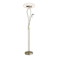 Rabalux 4078 - Vidrio de recambio para lámpara de pie GAMMA R7s grande