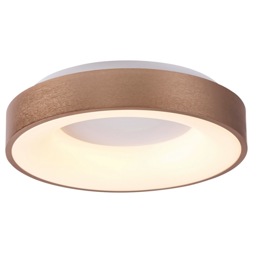 Rabalux - Plafón LED CARMELA LED/50W/230V diá. 60 cm