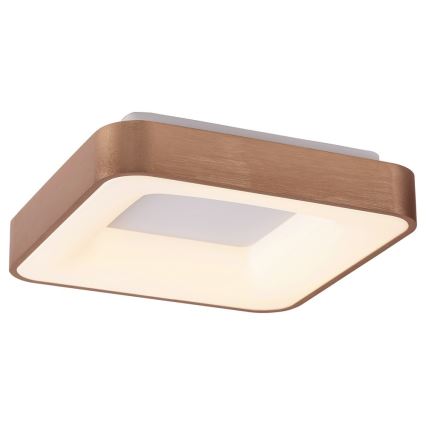 Rabalux - Plafón LED CARMELA LED/30W/230V 40x40 cm