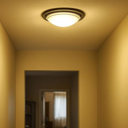 Rabalux - Lámpara de techo 2xE27/60W/230V diámetro 38 cm