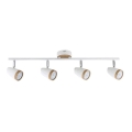 Rabalux 5567 - Foco LED KAREN 4xLED/4W/230V