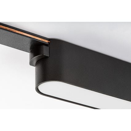 Rabalux - LED Plafón para sistema de raíles monofásico LED/6W/24V 3000K 11,5 cm negro