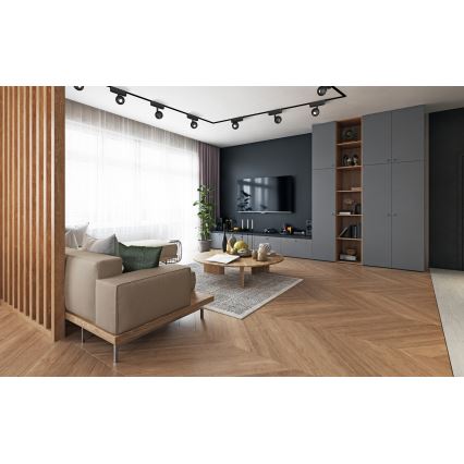 Rabalux - LED Foco para sistema de riel monofásico LED/5W/24V 3000K negro