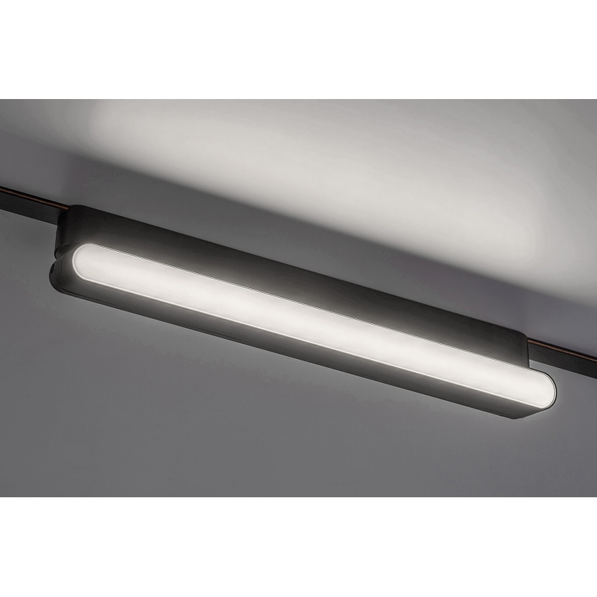 Rabalux - LED Plafón para sistema de raíles monofásico LED/16W/24V 4000K 33 cm negro