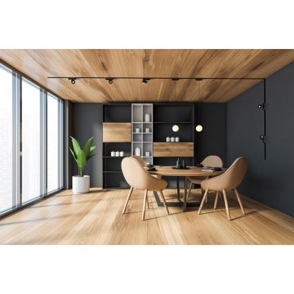 Rabalux - Lámpara LED colgante para sistema de raíles monofásico LED/5W/24V 4000K negro