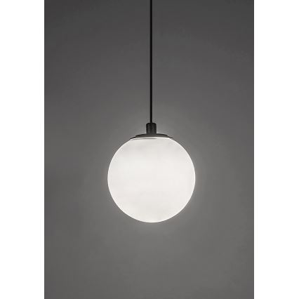 Rabalux - Lámpara LED colgante para sistema de raíles monofásico LED/5W/24V 4000K negro
