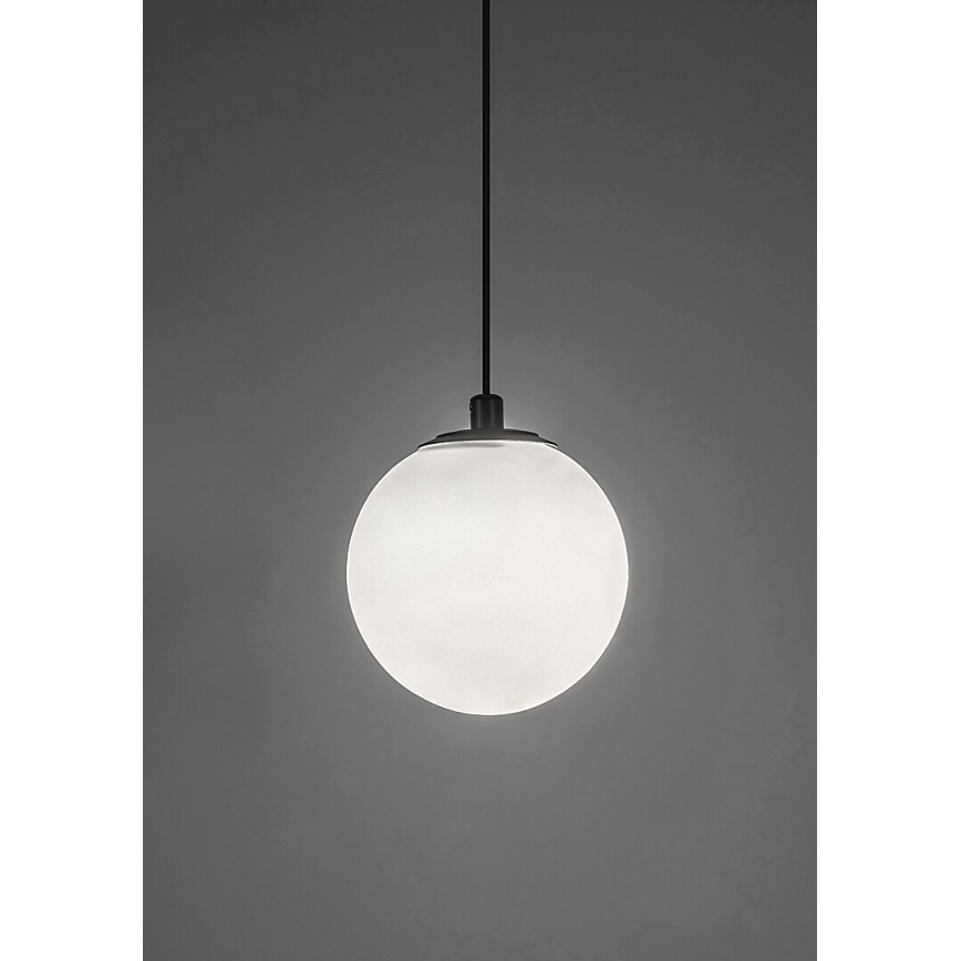 Rabalux - Lámpara LED colgante para sistema de raíles monofásico LED/5W/24V 4000K negro