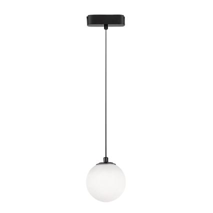 Rabalux - Lámpara LED colgante para sistema de raíles monofásico LED/5W/24V 4000K negro