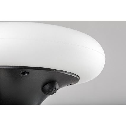 Rabalux - Lámpara solar LED RGB LED/0,6W/3,7V IP65 1200 mAh