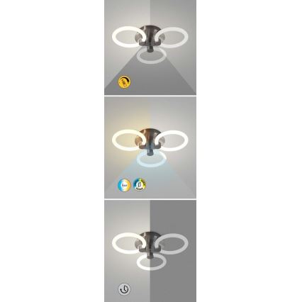 Rabalux - Lámpara de techo LED regulable LED/21W/230V 3000/4000/6000K + mando a distancia, diámetro 41 cm
