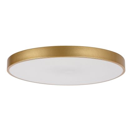 Rabalux - Lámpara de techo LED regulable LED/60W/230V 3000-6000K + control remoto diámetro 60 cm