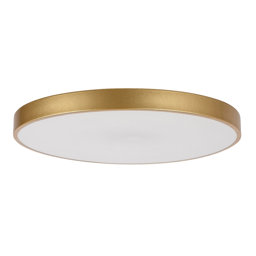 Rabalux - Lámpara de techo LED regulable LED/60W/230V 3000-6000K + control remoto diámetro 60 cm