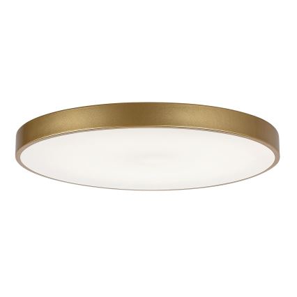 Rabalux - Lámpara de techo LED regulable LED/60W/230V 3000-6000K + control remoto diámetro 60 cm