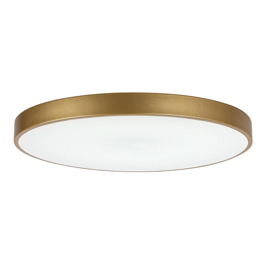 Rabalux - Lámpara de techo LED regulable LED/60W/230V 3000-6000K + control remoto diámetro 60 cm