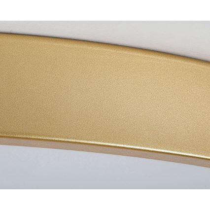 Rabalux - Lámpara de techo LED regulable LED/60W/230V 3000-6000K + control remoto diámetro 60 cm