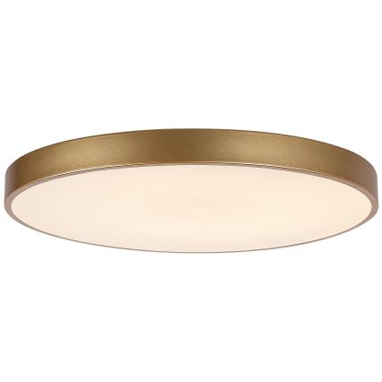 Rabalux - Lámpara de techo LED regulable LED/60W/230V 3000-6000K + control remoto diámetro 60 cm