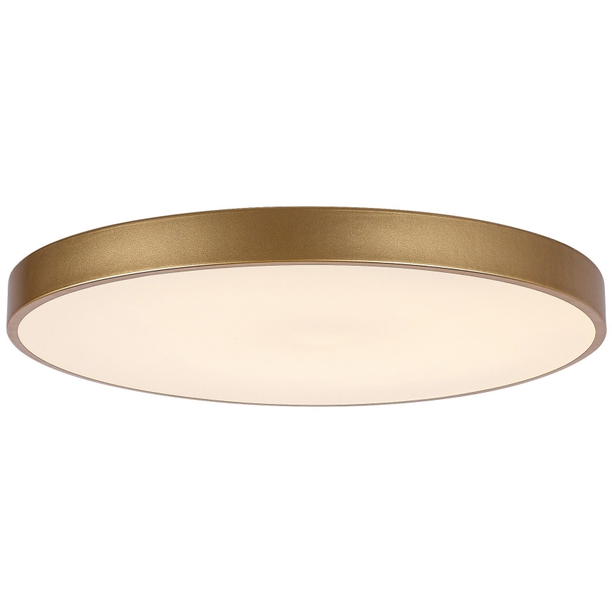 Rabalux - Lámpara de techo LED regulable LED/60W/230V 3000-6000K + control remoto diámetro 60 cm