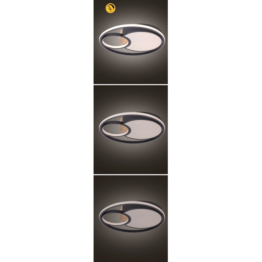Rabalux - Lámpara de techo LED regulable LED/81W/230V 3000K/4000K/6000K diámetro 48 cm + mando a distancia