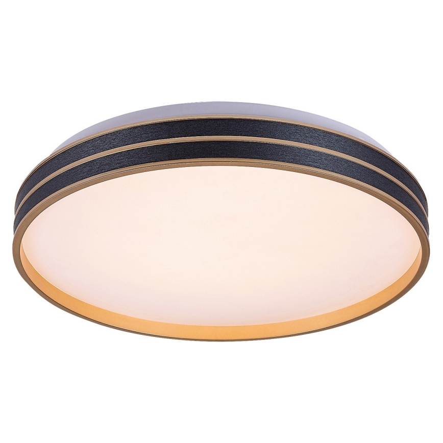 Rabalux - Lámpara de techo LED regulable 24 W/230 V 3000–6500 K Ø 39 cm + mando a distancia