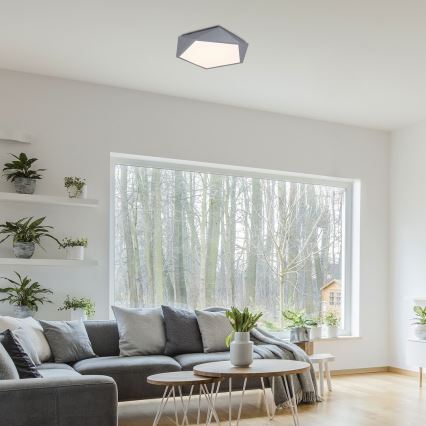 Rabalux - Plafón de techo LED/30W/230V 3000K diámetro 40 cm