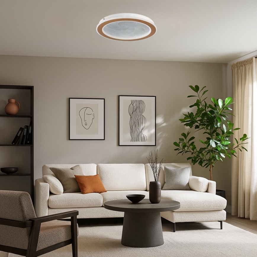 Rabalux - Luminaria de techo LED regulable 24W/230V 3000–6500K Ø 40 cm + mando a distancia