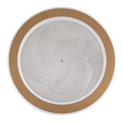 Rabalux - Luminaria de techo LED regulable 24W/230V 3000–6500K Ø 40 cm + mando a distancia