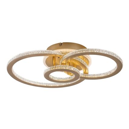 Rabalux - Luminaria de techo LED regulable LED/40W/230V 3000-6500K + mando a distancia