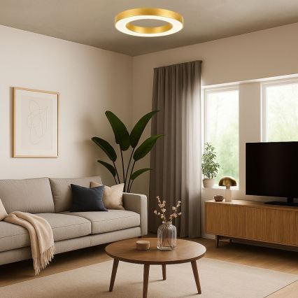 Rabalux - Luminaria de techo LED/24W/230V 3000/4000/6500K Ø 40 cm dorada