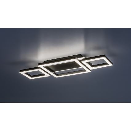 Rabalux - Luminaria de techo LED/24W/230V 4000K 22x51 cm