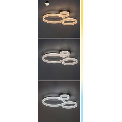 Rabalux - Plafón LED LED/24W/230V 3000/4000/6500K negro 38x51 cm