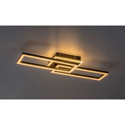 Rabalux - Luminaria de techo regulable LED/30W/230V 3000-6500K + control remoto, longitud 60 cm