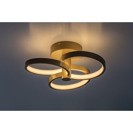 Rabalux - Luminaria de techo LED regulable LED/32W/230V 3000-6500K Ø 31 cm beige + mando a distancia
