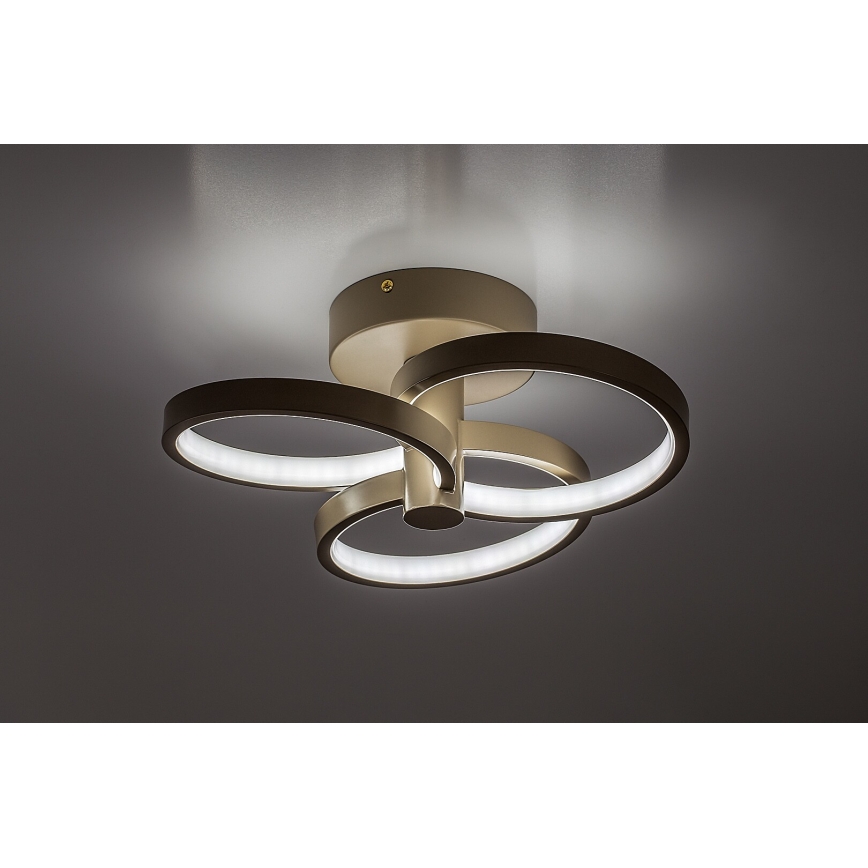 Rabalux - Luminaria de techo LED regulable LED/32W/230V 3000-6500K Ø 31 cm beige + mando a distancia