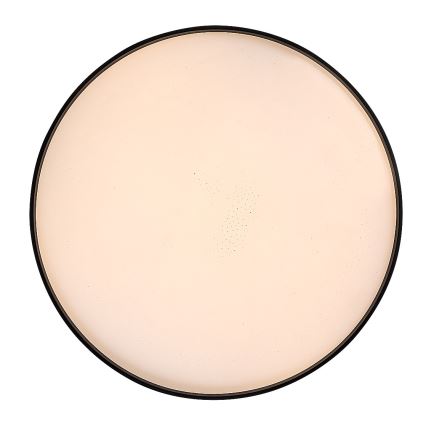 Rabalux - Luminaria de techo LED regulable LED/80W/230V 3000-6500K diámetro 77 cm + mando a distancia