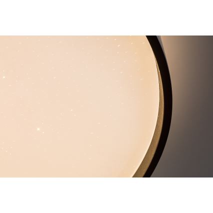 Rabalux - Luminaria de techo LED regulable LED/80W/230V 3000-6500K diámetro 77 cm + mando a distancia