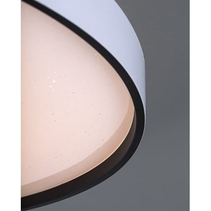 Rabalux - Luminaria de techo LED regulable LED/80W/230V 3000-6500K diámetro 77 cm + mando a distancia